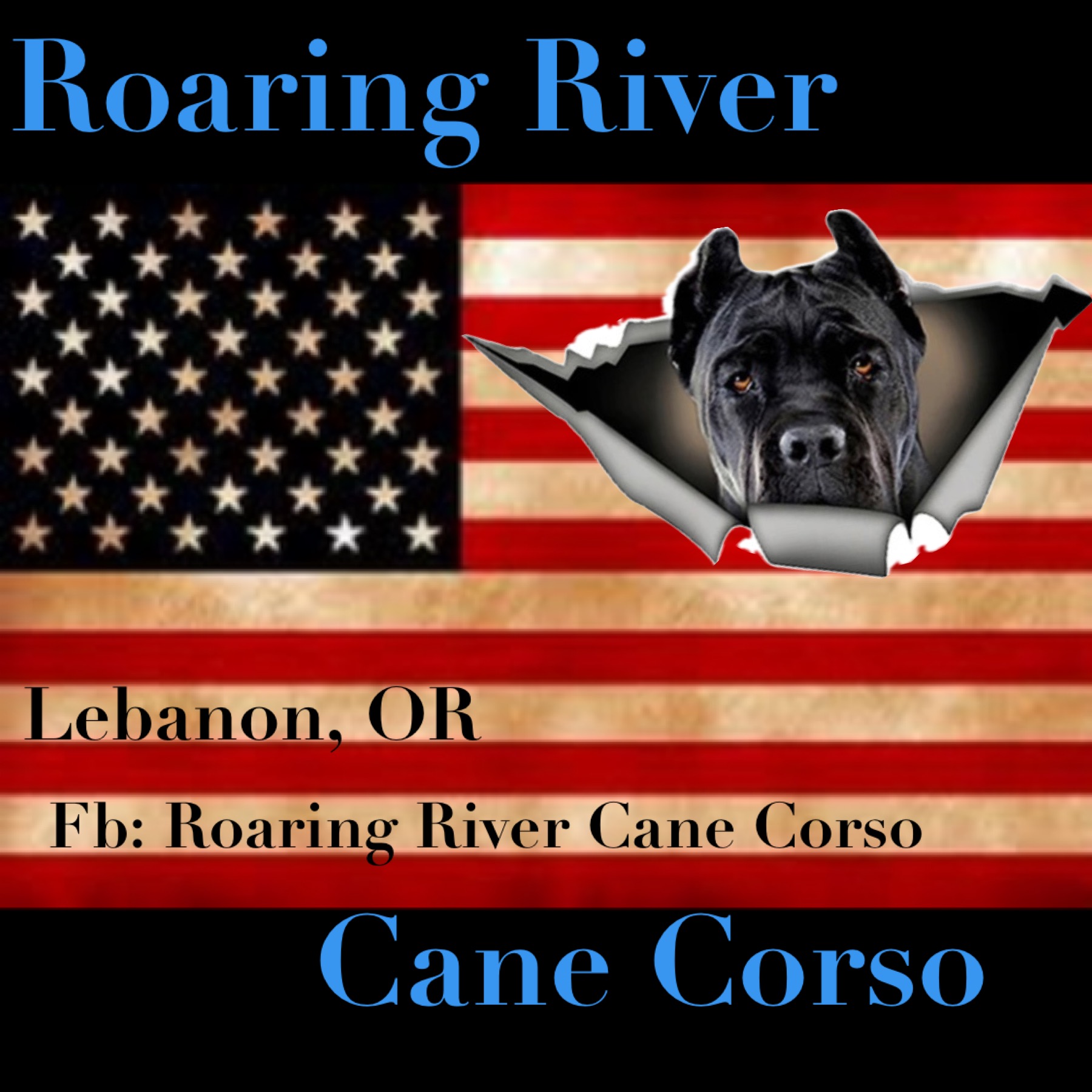 Roaring River Cane Corso
